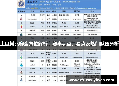 土耳其比赛全方位解析：赛事亮点、看点及热门队伍分析