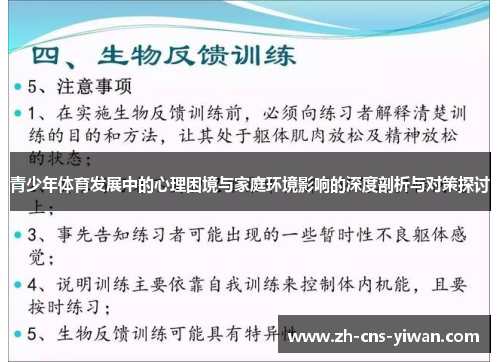 青少年体育发展中的心理困境与家庭环境影响的深度剖析与对策探讨