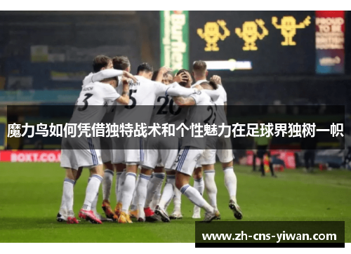魔力鸟如何凭借独特战术和个性魅力在足球界独树一帜